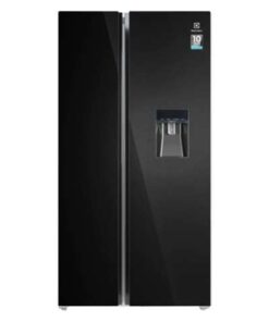 Tủ lạnh Electrolux Inverter 619 lít ESE6645A-BVN