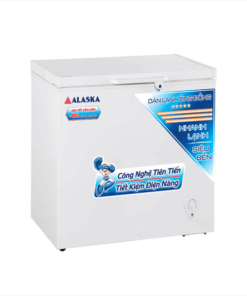 Tủ đông Alaska 300 lít 1 cửa BD-300C