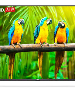 Android Tivi TCL 4K 50 inch 50T65