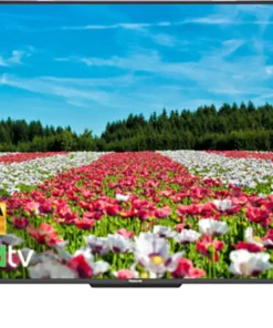 Android Tivi Panasonic 4K 55 Inch TH-55JX750V