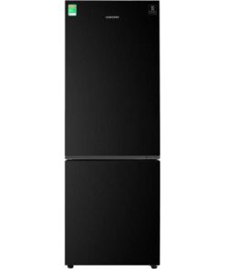 Tủ lạnh Samsung Inverter 310 lít RB30N4010BU/SV