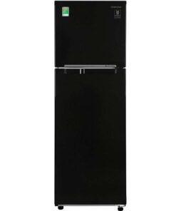 Tủ lạnh Samsung Inverter 256 lít RT25M4032BU/SV