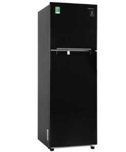 Alternative view of Tủ lạnh Samsung Inverter 256 lít RT25M4032BU/SV