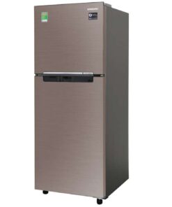 Alternative view of Tủ lạnh Samsung Inverter 208 lít RT20HAR8DDX/SV