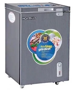 Tủ đông Hòa Phát HCF 106S1DSH 107 lít